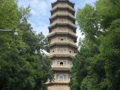 -灵谷景区