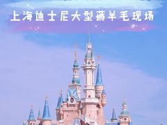 -上海迪士尼度假区
