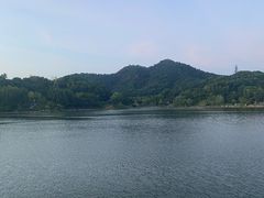 -里手馄饨(麓山名园店)