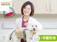 -美联众合动物医院·24h转诊中心