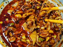 -杨大姐四川风味麻辣鸡(古陌路店)