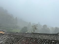 -杨家堂村