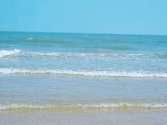 -日照海滨国家森林公园