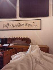 -Clover Beauty四葉美睫