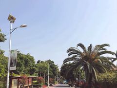-仙岳公园