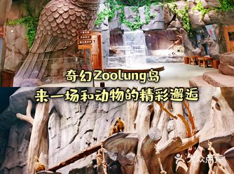溜娃| 奇幻萌宠乐园，来一场和动物的亲密互动！