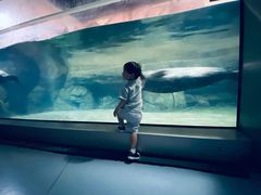 -福州罗源湾海洋世界旅游区