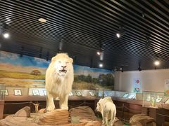 -陕西自然博物馆