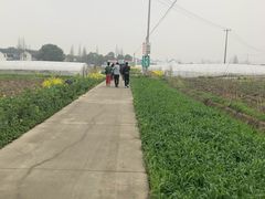 -小鱼草莓采摘园农家乐·小鱼餐厅