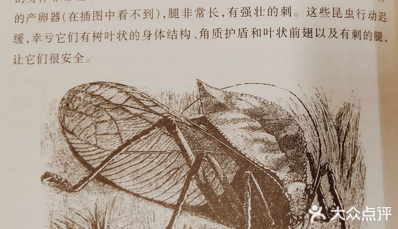 科学家们再走达尔文小猎犬号之旅。1854-1862