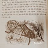 科学家们再走达尔文小猎犬号之旅。1854-1862