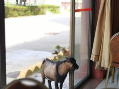 -放鸡岛生态旅游国际度假区