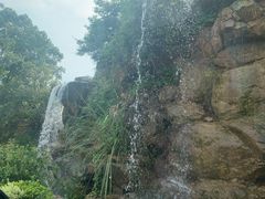 -杭州桐庐康莱德酒店西餐厅-舍