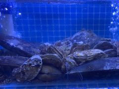 -長壹旋转烤吧 农家鸡火锅