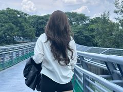 -合肥野生动物园