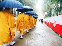 -醍醐寺