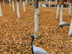 -艾溪湖湿地公园