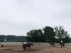 -月河湾马术俱乐部(朝阳店)