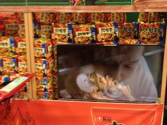 -乐天超市(蚕室店)