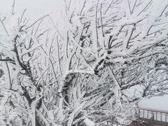 -梵净山旅游区