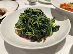 -南麓·浙里(外滩店)