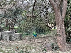 -宁波野生动物园