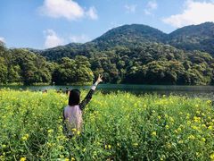 -广州市石门国家森林公园