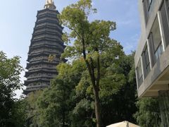 -听松楼·花园酒店·自助餐厅(红梅公园店)