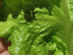 -盛江山自助料理(奥莱锦辉购物广场店)