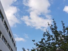 -青岛大学(金家岭校区)