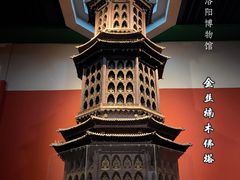 -洛阳博物馆