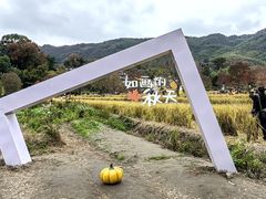 -塔川景区