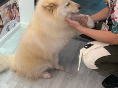 -肆兮眼镜·蔡司·徕卡战略合作店(大坪店)