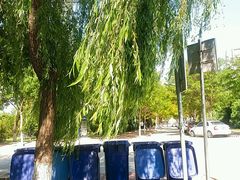 -兰州财经大学(和平校区)