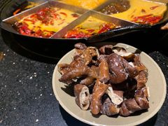 -肥龙火锅(南坪店)