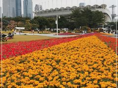 -二沙岛艺术公园