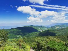-武陵山森林公园