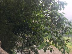 -保利石象湖景区