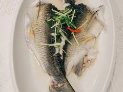-寻味顺德·南记酒家·传统顺德菜·鱼生(广源路店)