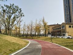 -府河摄影公园