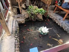 -三道苗苗鱼·美蛙黄辣丁(八里店)