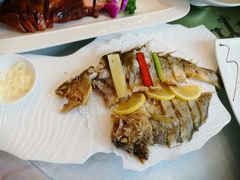 -骏莱海鲜鱼港(五角场店)