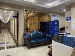 -碧莲盛·不剃发植发