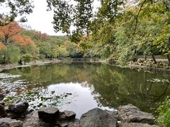 -灵谷景区