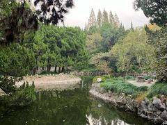 -叶家花园