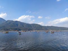 -腾冲北海湿地