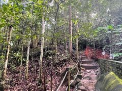 -武吉知马自然保护区