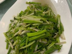 水芹菜-新恬乐大酒家(沧达大厦店)