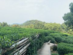 -西湖风景区十里琅珰-五云山