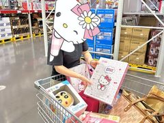-山姆会员商店(亦庄创意生活广场店)